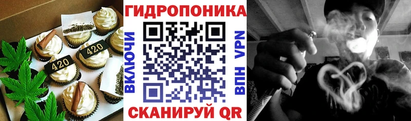 нарко площадка какой сайт купить Заволжск Cannafood марихуана MEGA вход