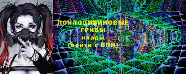apvp Алексеевка
