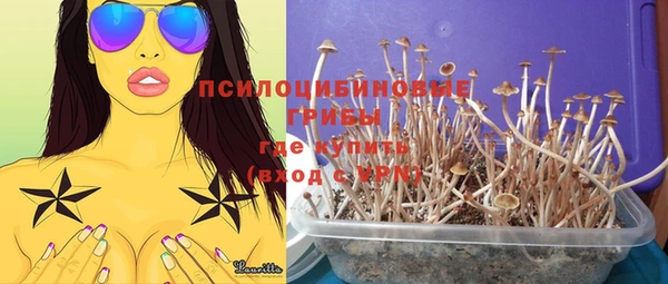 apvp Алексеевка