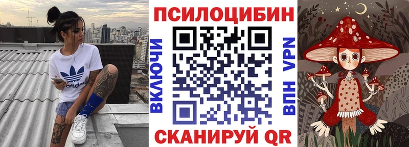 Галлюциногенные грибы Psilocybine cubensis  Заволжск 